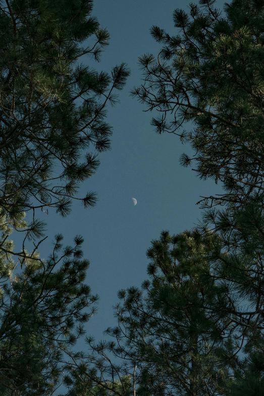 Ambiance lune-argent